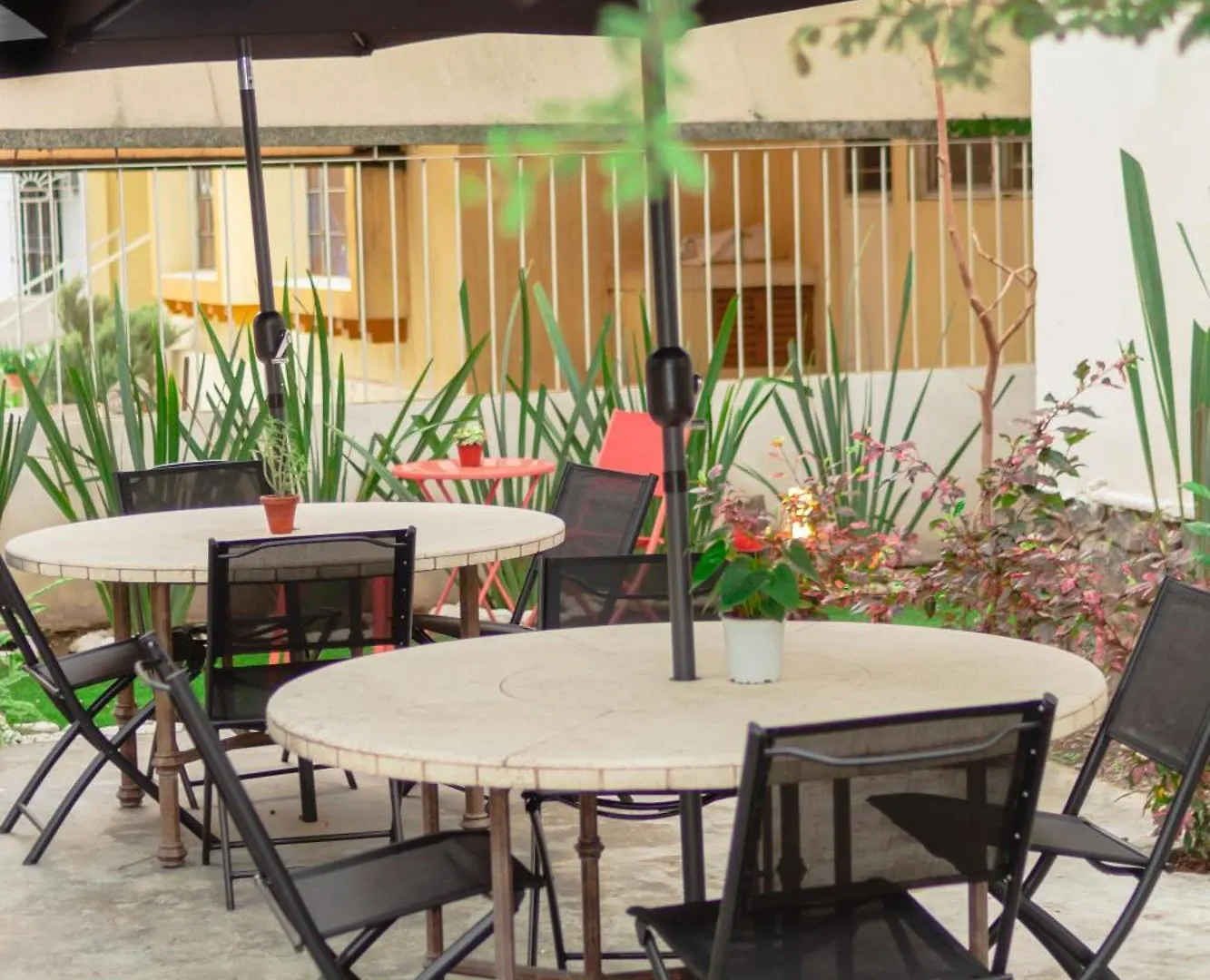 Guest house Casa Mudra Hotel Guadalajara Mexico